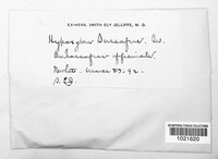 Image Associated With the Occurence